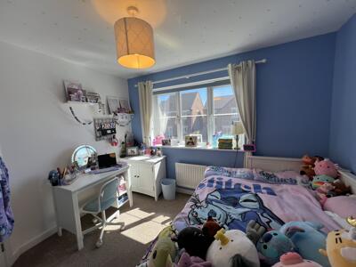 Picture 19